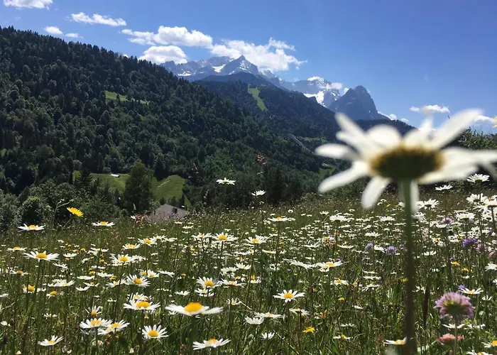 Haus Niklos - Waldeck